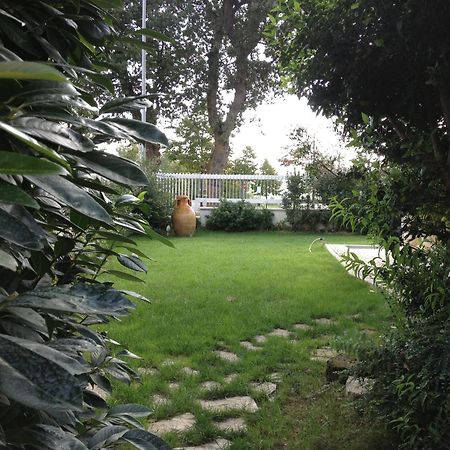 Villa Gioia Rooms Montegranaro Kültér fotó