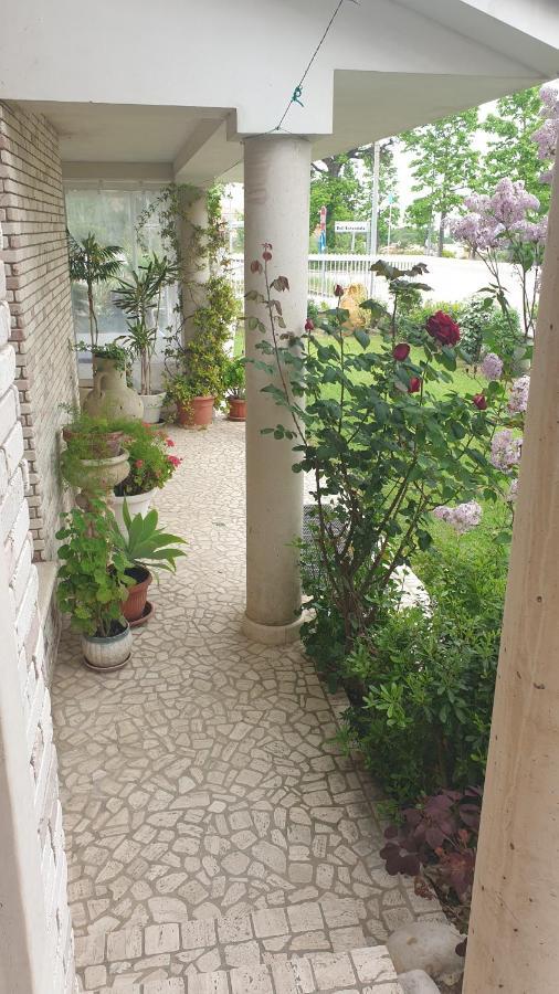Villa Gioia Rooms Montegranaro Kültér fotó