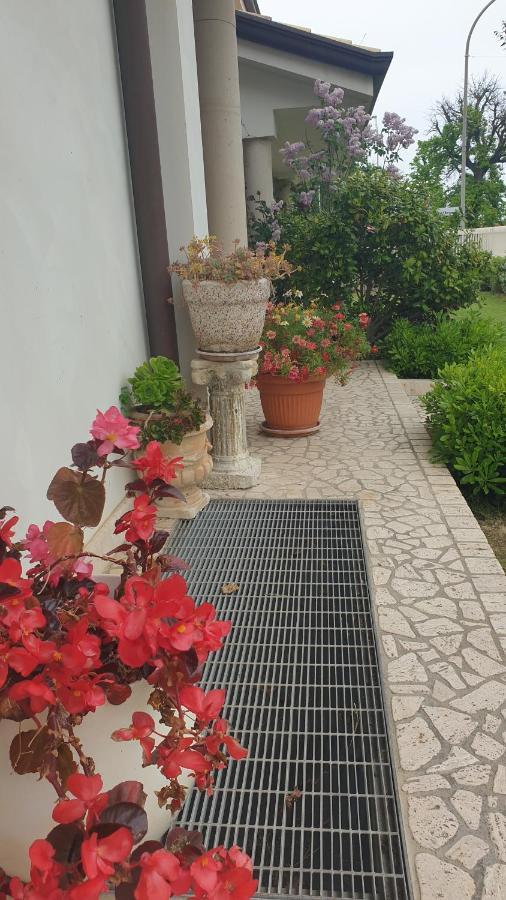 Villa Gioia Rooms Montegranaro Kültér fotó